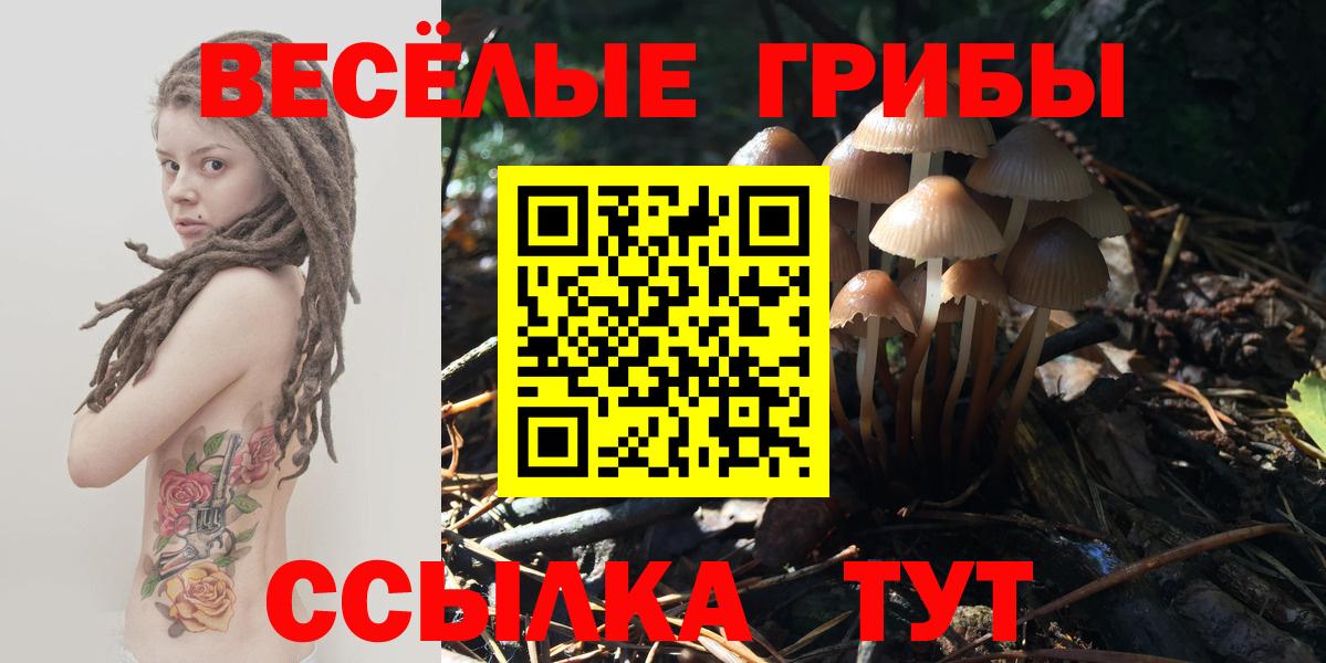 Зеленодольск  Галлюциногенные грибы Psilocybe  Вход с VPN 