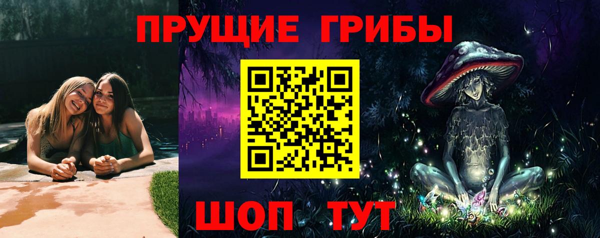 Галлюциногенные грибы прущие грибы Зеленодольск